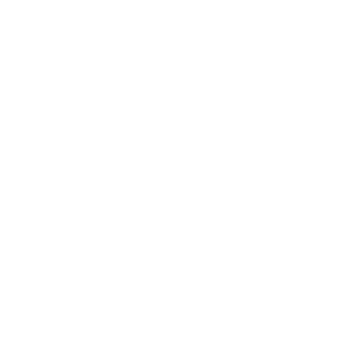 CHARGER ROBOT RT-K9 Micro